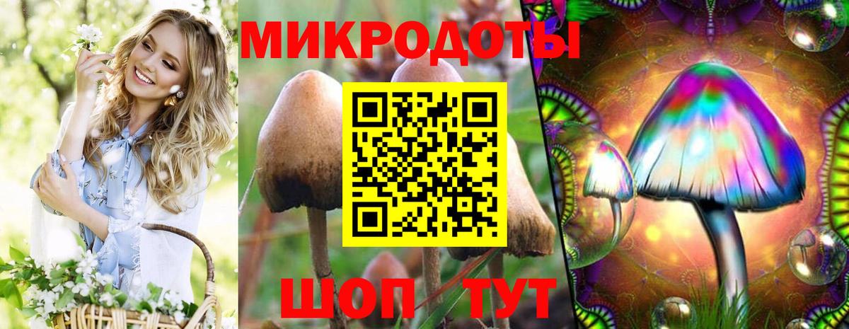 Галлюциногенные грибы Magic Shrooms Отрадное